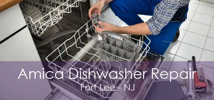 Amica Dishwasher Repair Fort Lee - NJ