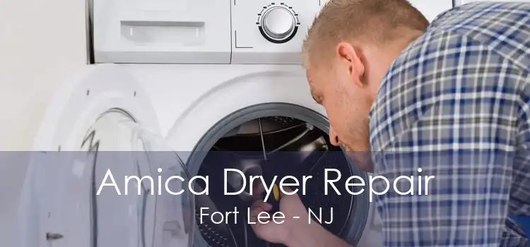 Amica Dryer Repair Fort Lee - NJ