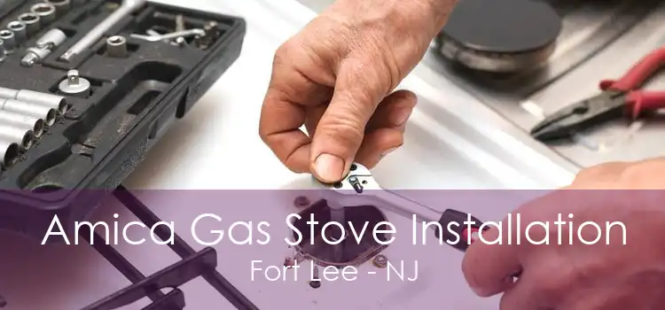 Amica Gas Stove Installation Fort Lee - NJ