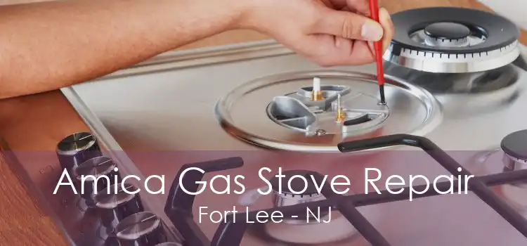 Amica Gas Stove Repair Fort Lee - NJ