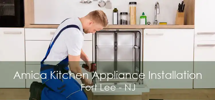 Amica Kitchen Appliance Installation Fort Lee - NJ