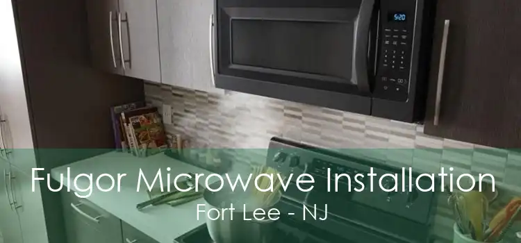 Fulgor Microwave Installation Fort Lee - NJ