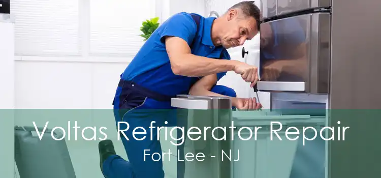 Voltas Refrigerator Repair Fort Lee - NJ